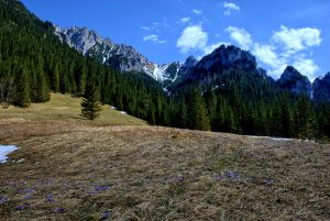 Koscieliska valley, Tatry Mountains