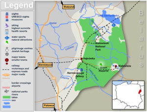 bialowieza forest