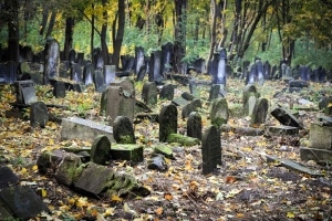 Jewish Cemetery, Warsaw