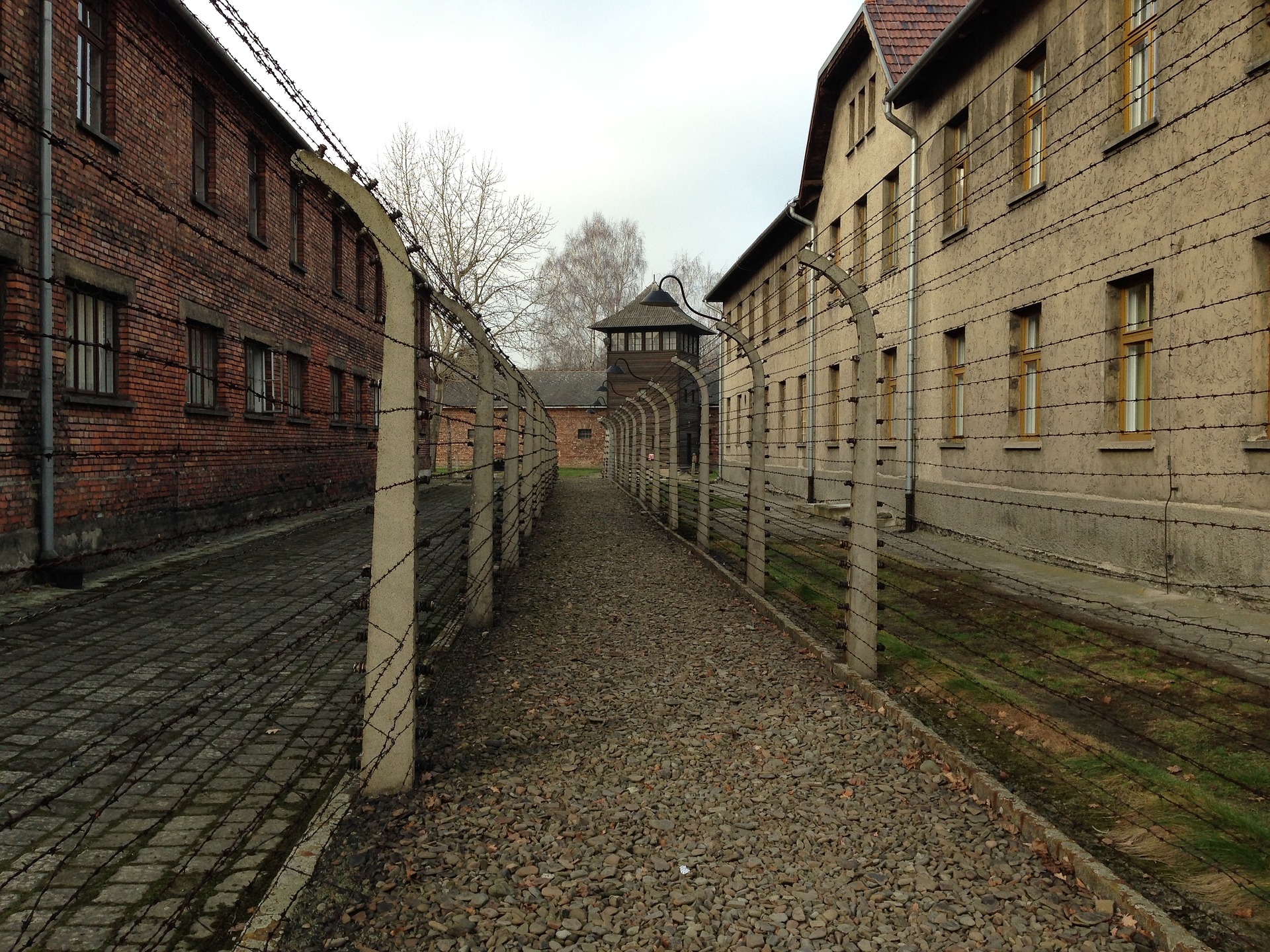 excursions to auschwitz from krakow