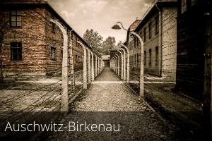 Auschwitz-Birkenau